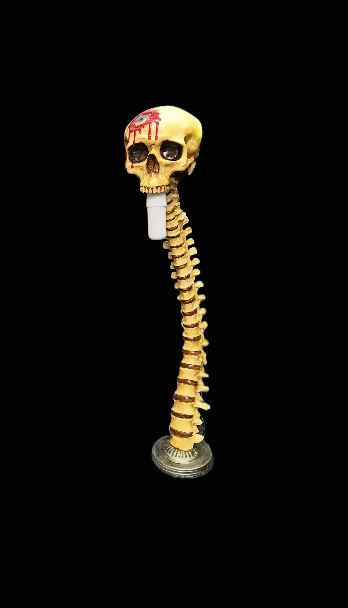 Eye Cavity Spinal Lamp 1