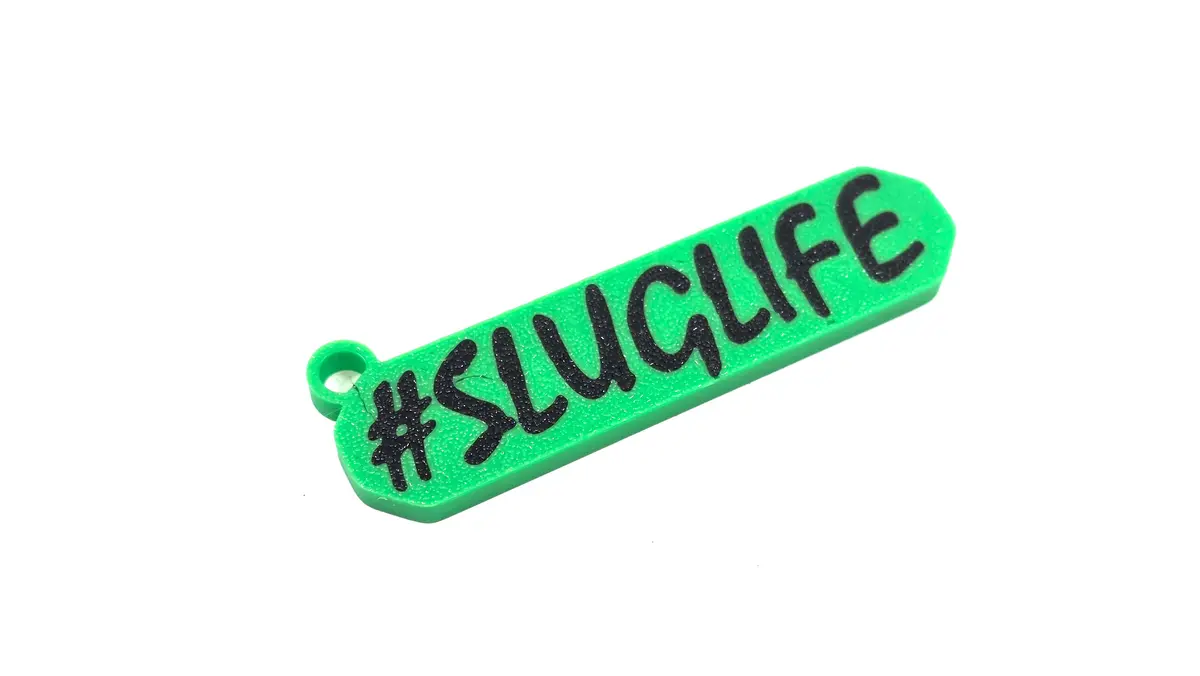 3D Printed Roboslug Rc Key Chain 1