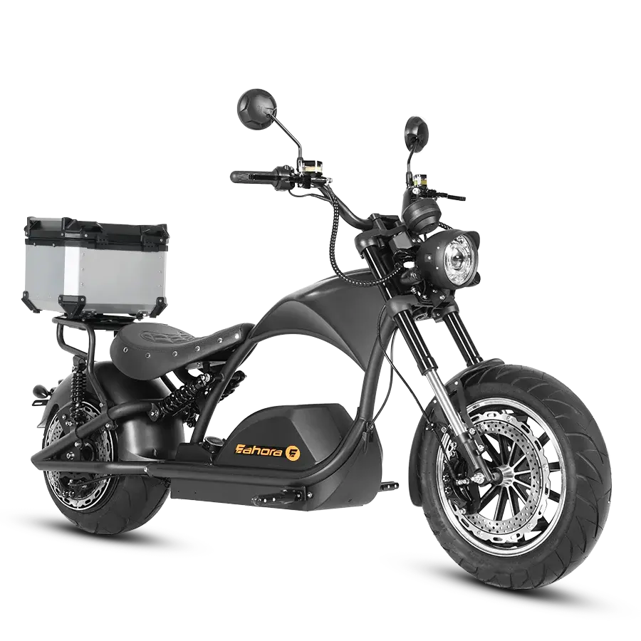 Eahora M1ps+Rear Seat+Tailbox-72V 4,000W 40Ah 1
