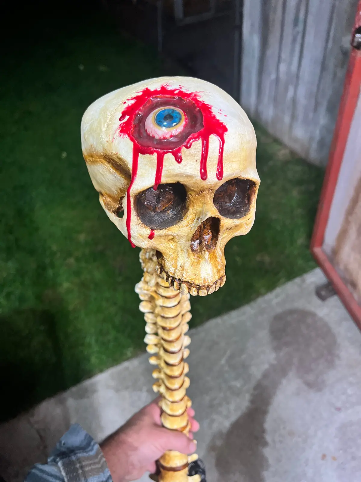 Eye Cavity Spinal Lamp 2