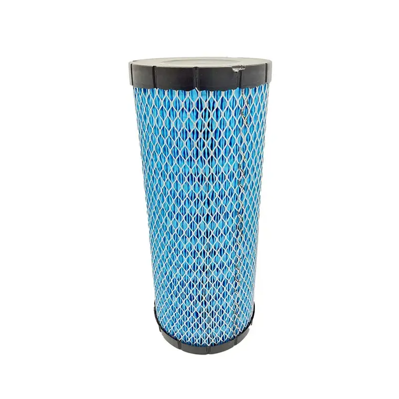 Polaris Air Filter 1