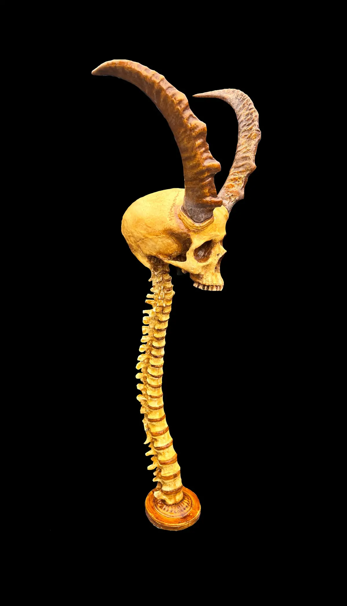Moldy Horned Spinal Lamp 1