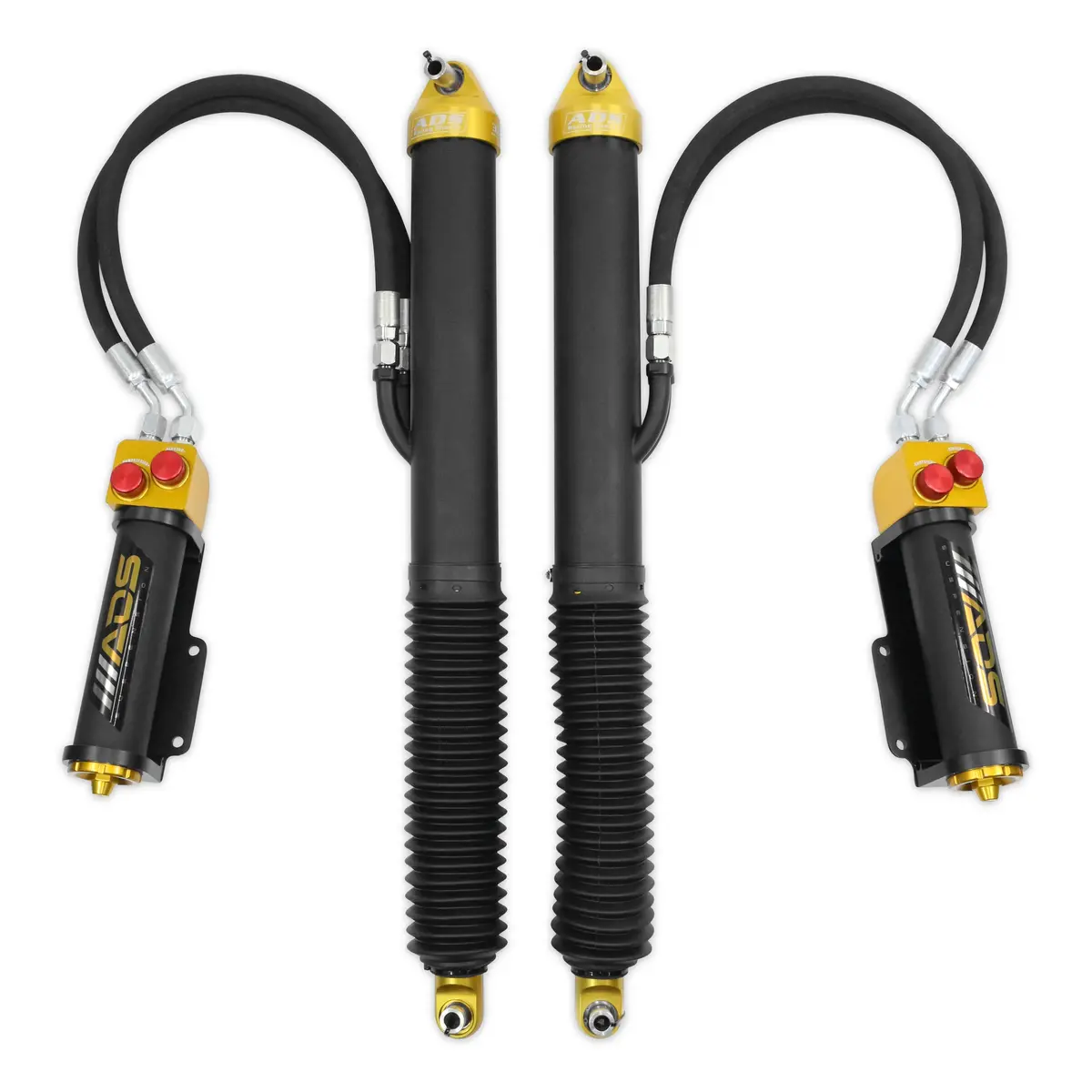 2021-2024 Ram 1500 Trx, Rear Mbr Race Shocks 0-2 In. Lift 1