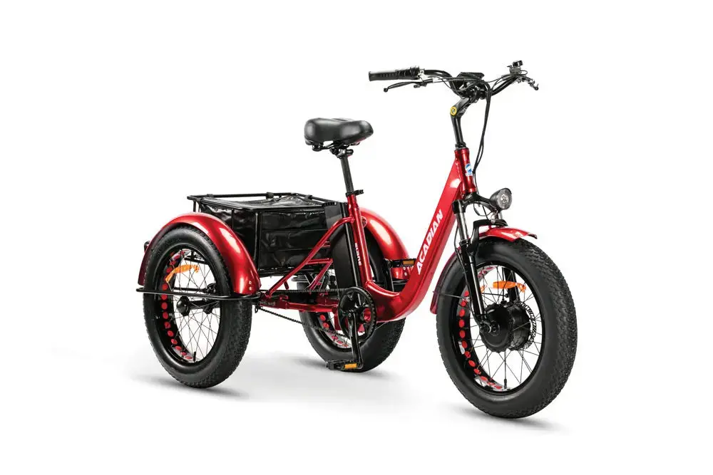 Acadian Trike All Season Fat Tire Trike 1