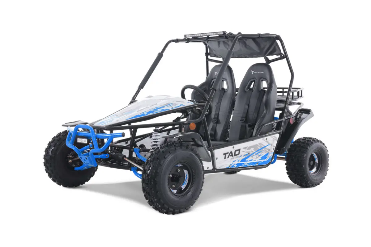 Baja Sport 200 Gas Gokart 2