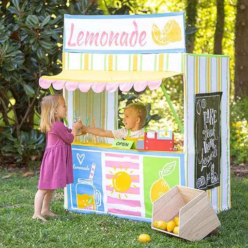 Lemonade Stand Play Home 1