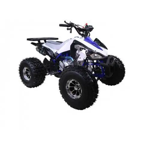 Atv Tao Motors - Cheetah Pro - 125Cc Automatic 1