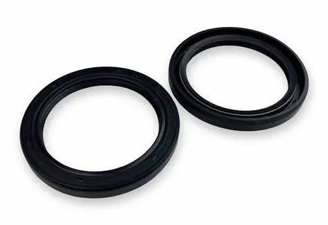 Rs1 Front Diff Seal 1