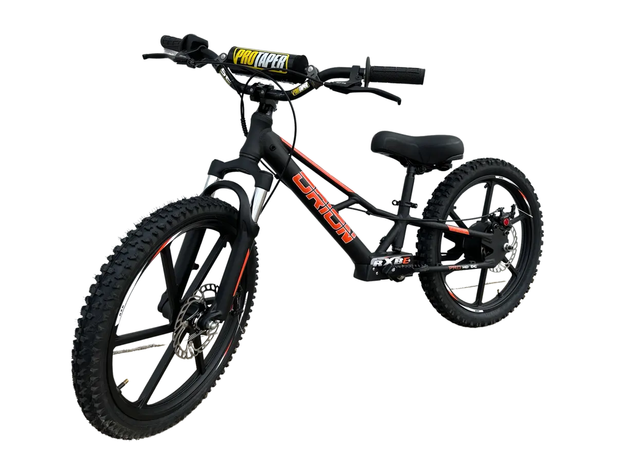 Eforce 20" 500W 48V Electric Balance Bike 1
