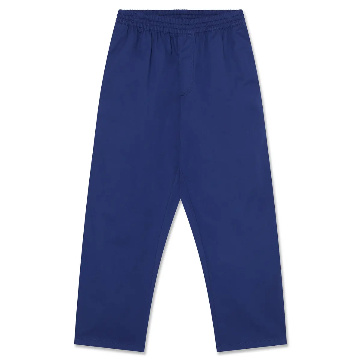 Polar Skate Co. Surf Pants Dark Blue 1