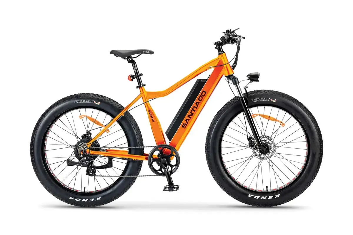 Santiago Fat All Season Fat Tire 1
