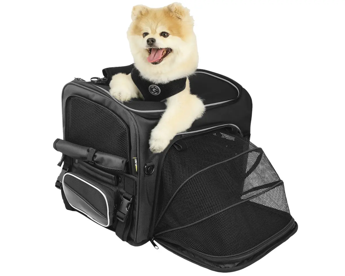 Rigg Gear Rover Pet Carrier 1