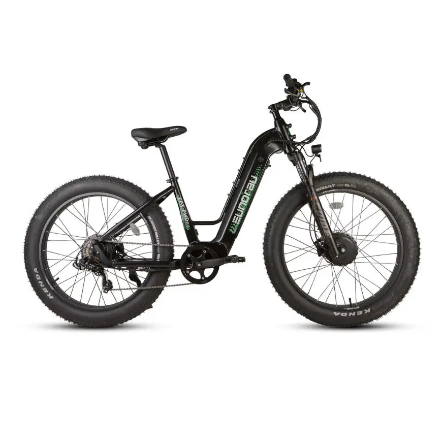 Eunorau Fat-Awd 3.0 Ebike 1