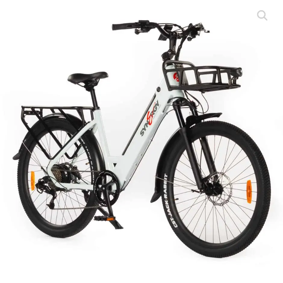 Synergy Commuter Low Step E-Bike 1