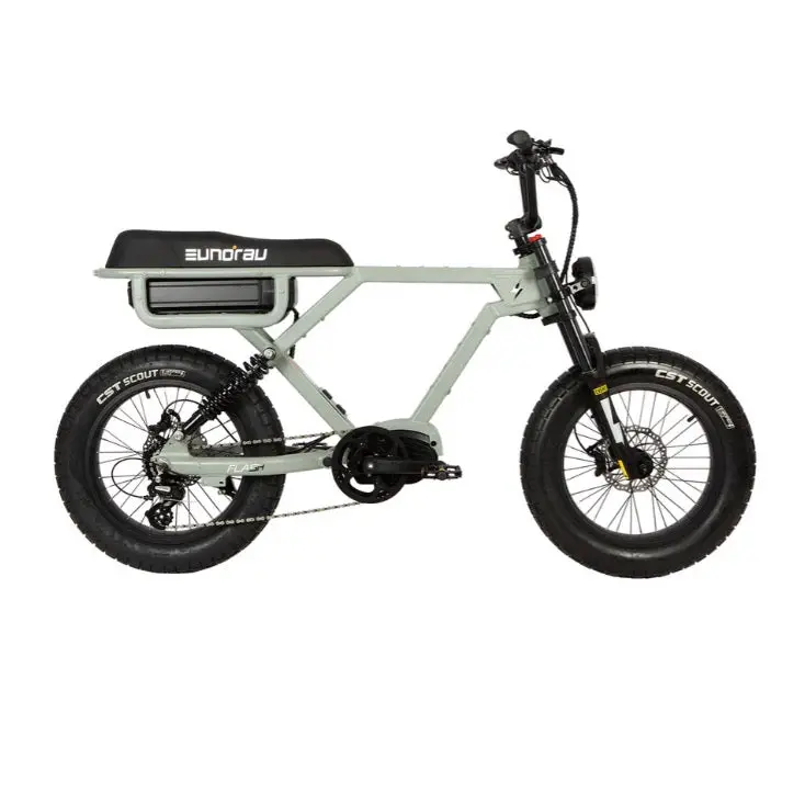 Eunorau Flash 1.0 Ebike 1
