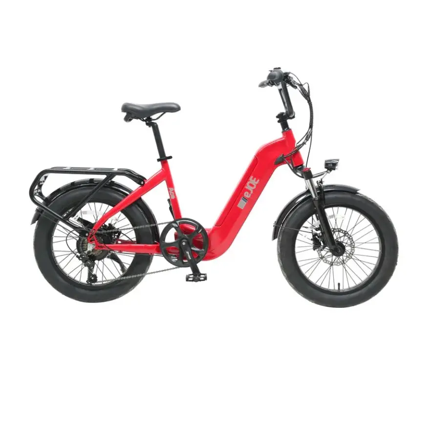 Ejoe Ace St Utility Ebike 1