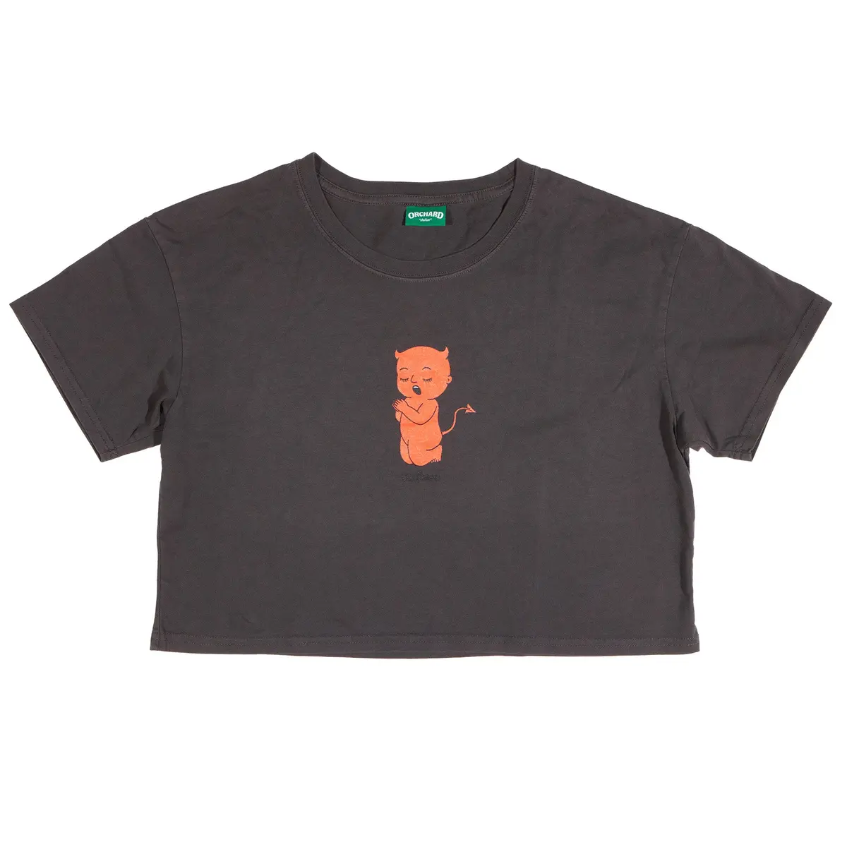 Orchard Thoughts & Prayers Crop Tee Coal 1