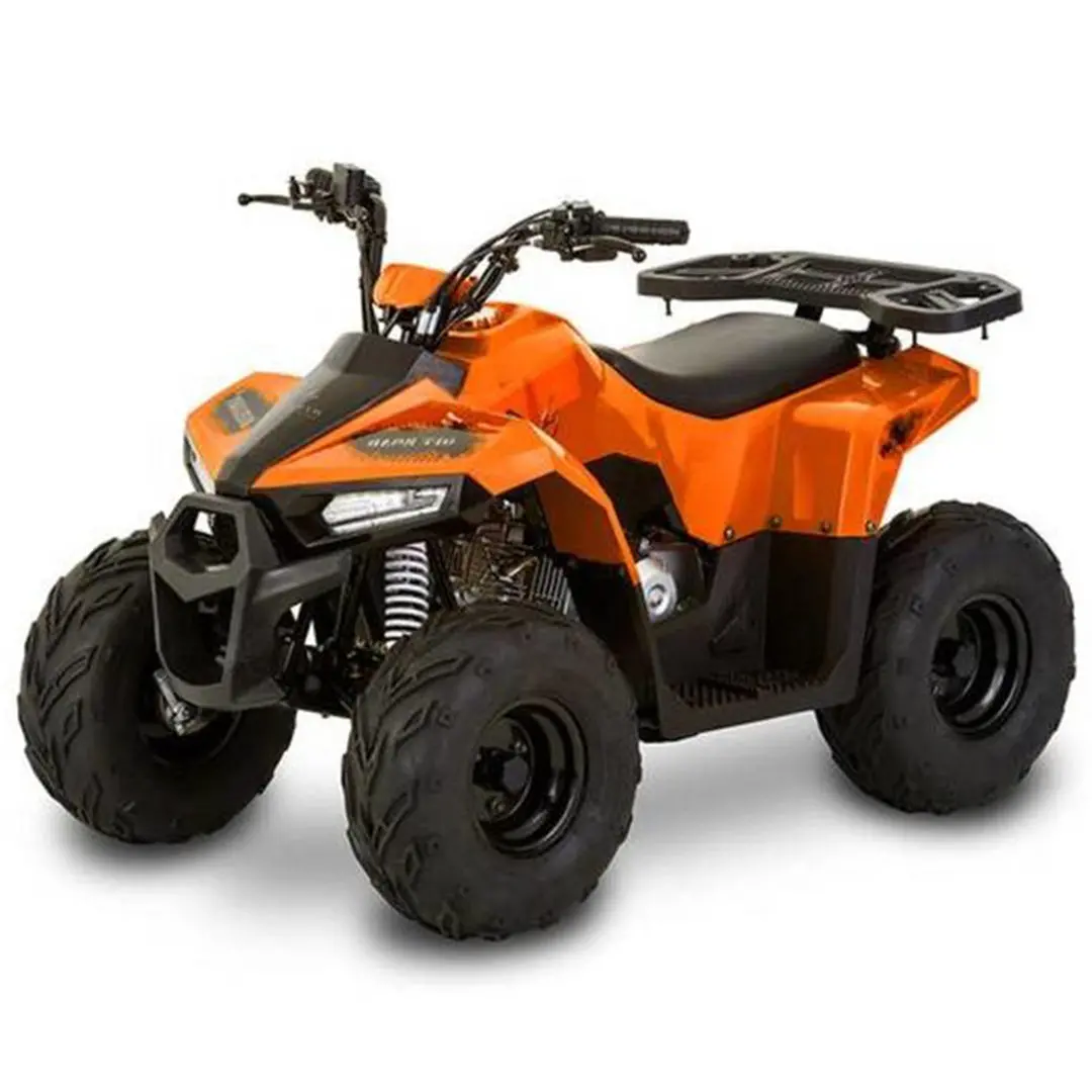 Mudhawk 6 Gas Atv 110Cc 4 Stroke - Tao Motors 1