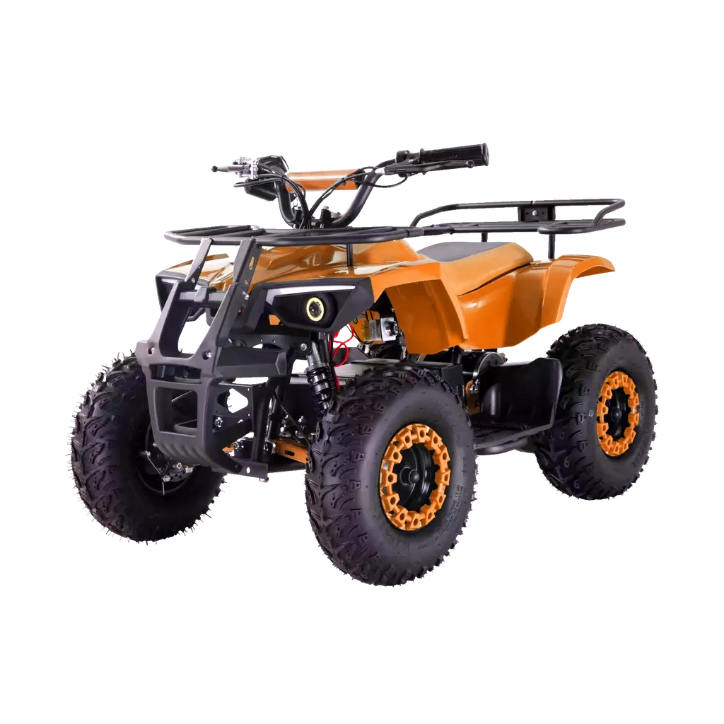 Gio Torpedo 1000W Electric Atv 3