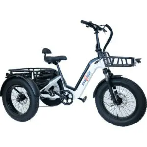 Synergy Triad E-Trike 1
