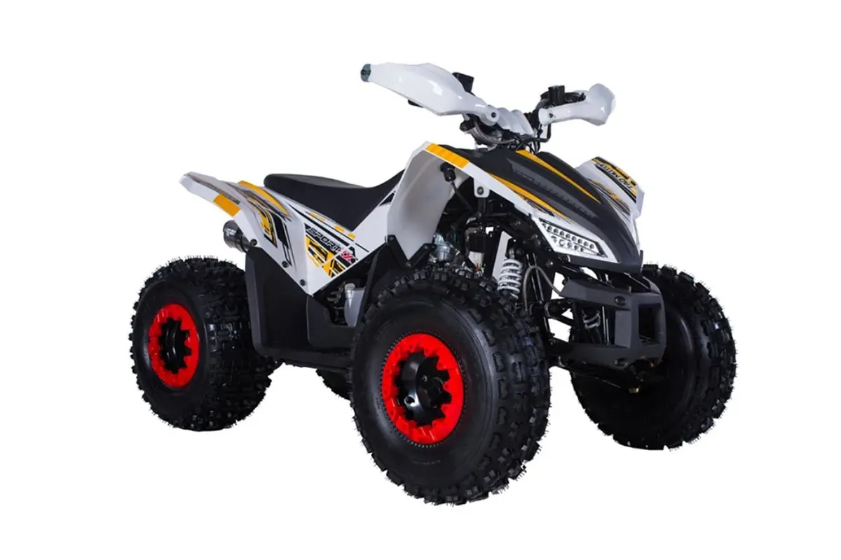 Tao Rex 125Cc Gas Atv With Reverse 1