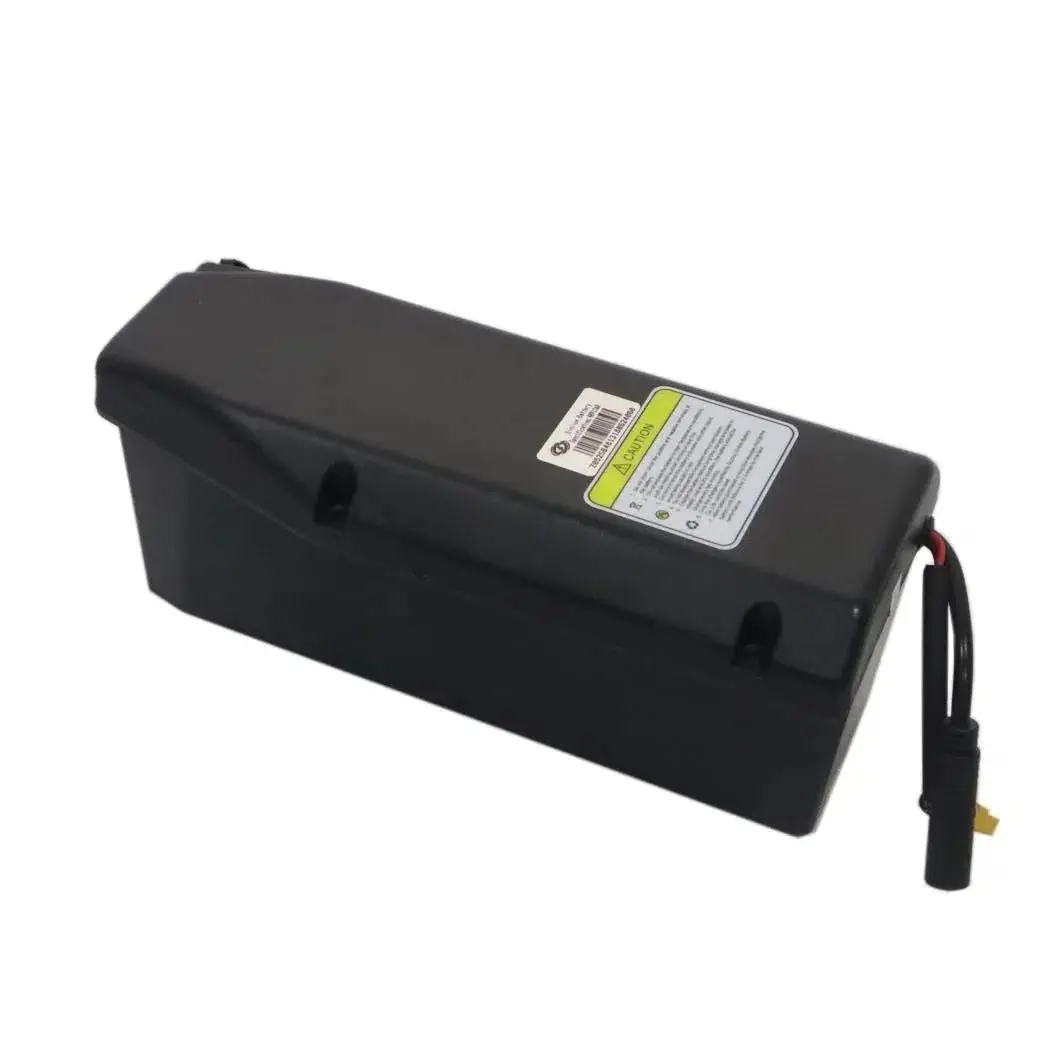 Revi Bikes| Cheetah Lithium Battery 1