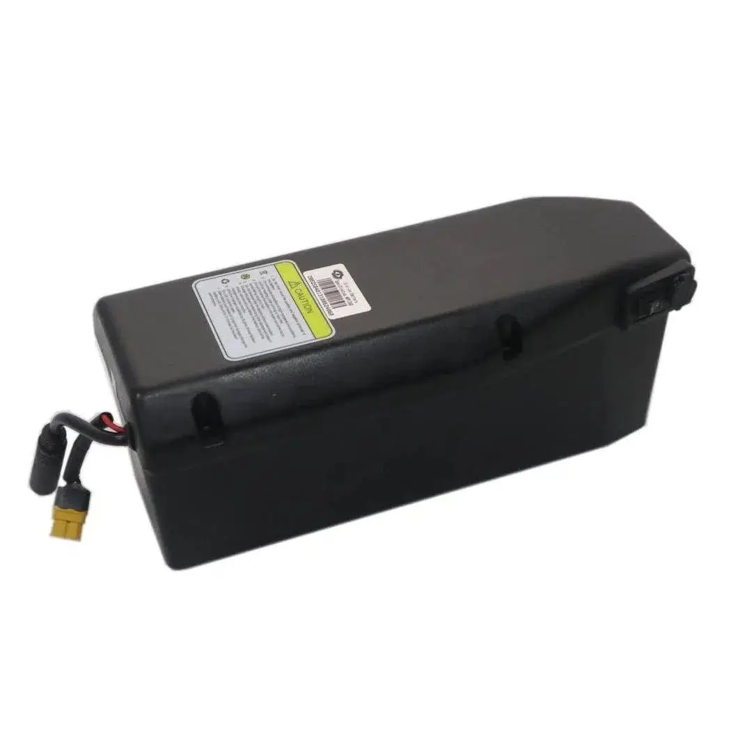 Revi Bikes| Cheetah Lithium Battery 2