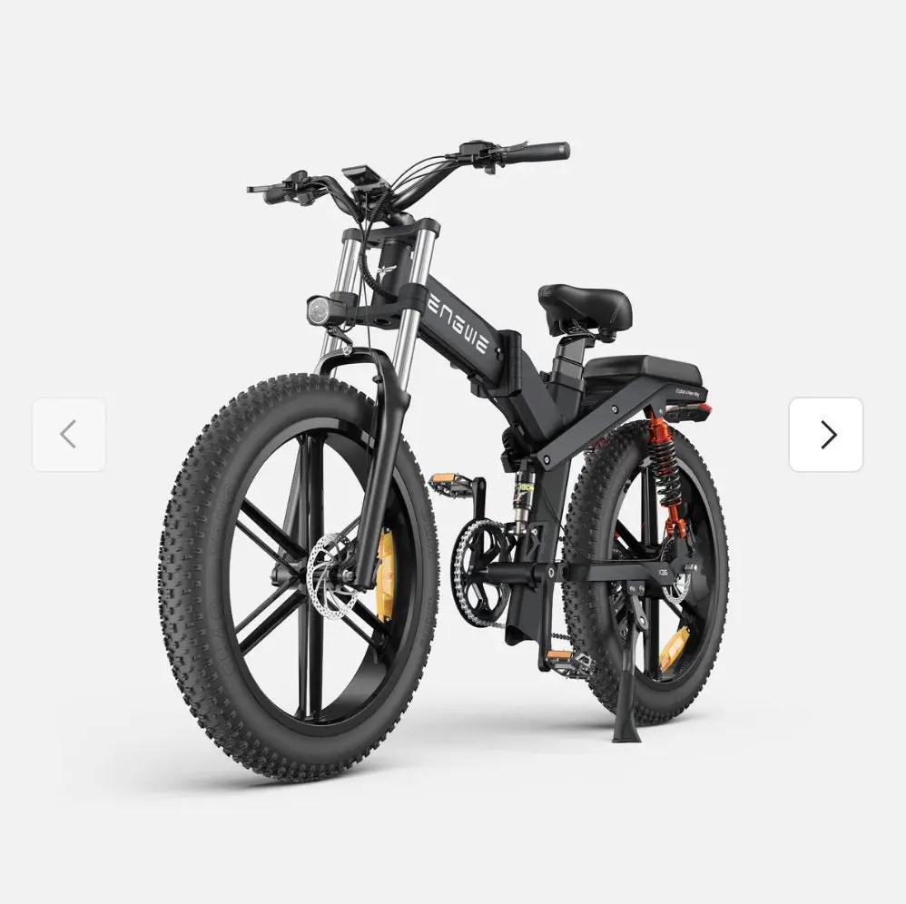Engwe L20 2.0 Step-Thru Utility Ebike 2