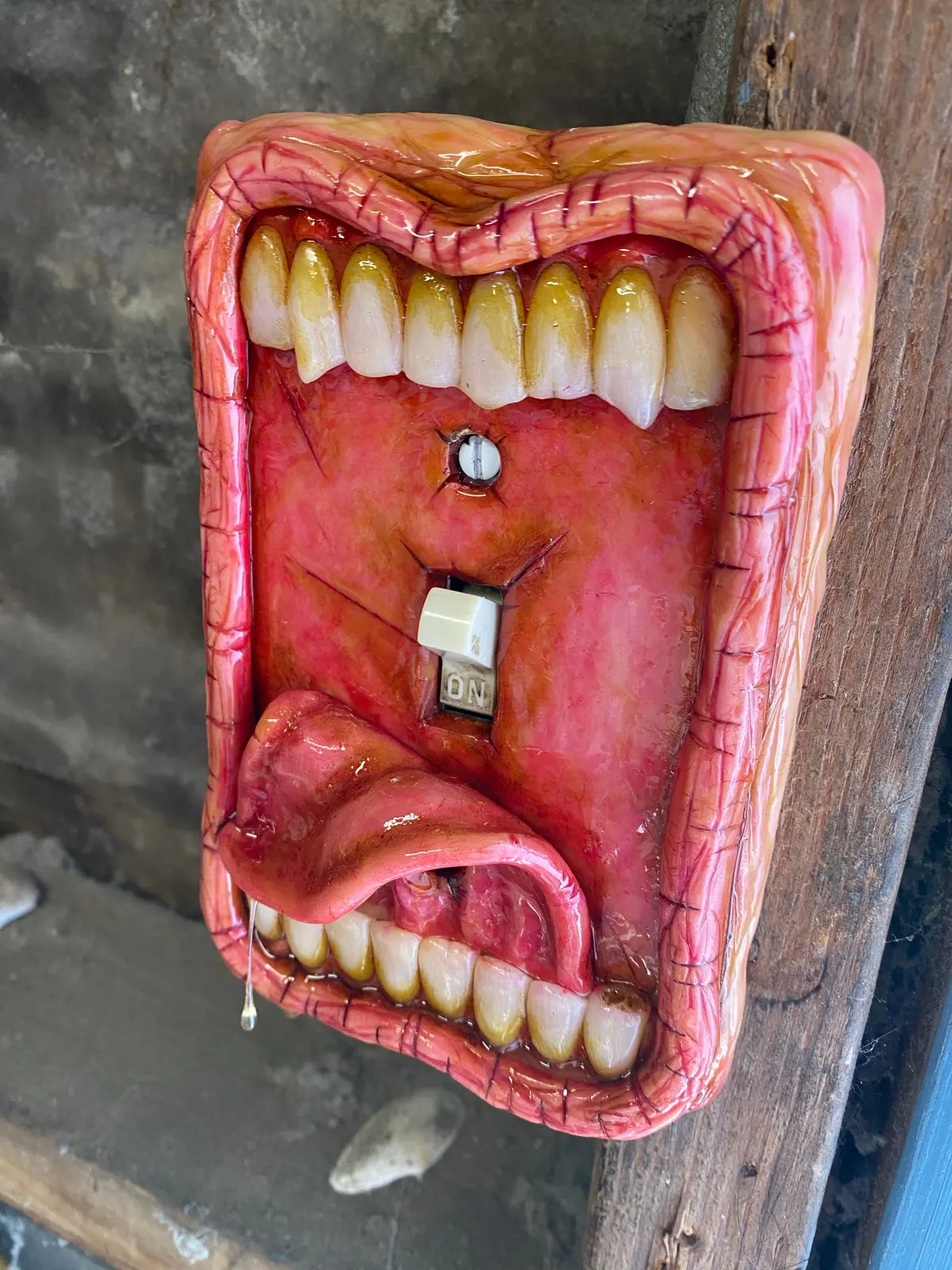 Moldy Switch Plate Tongue 1