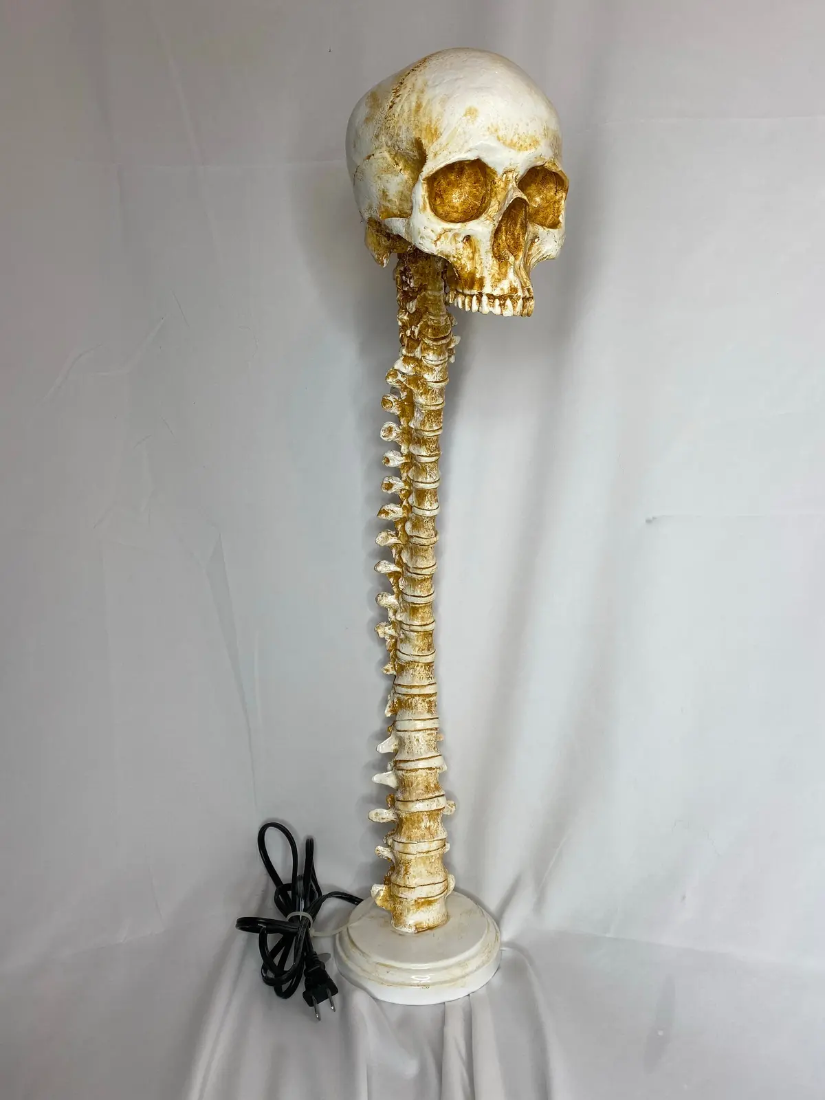 Moldy Spinal Lamp 1
