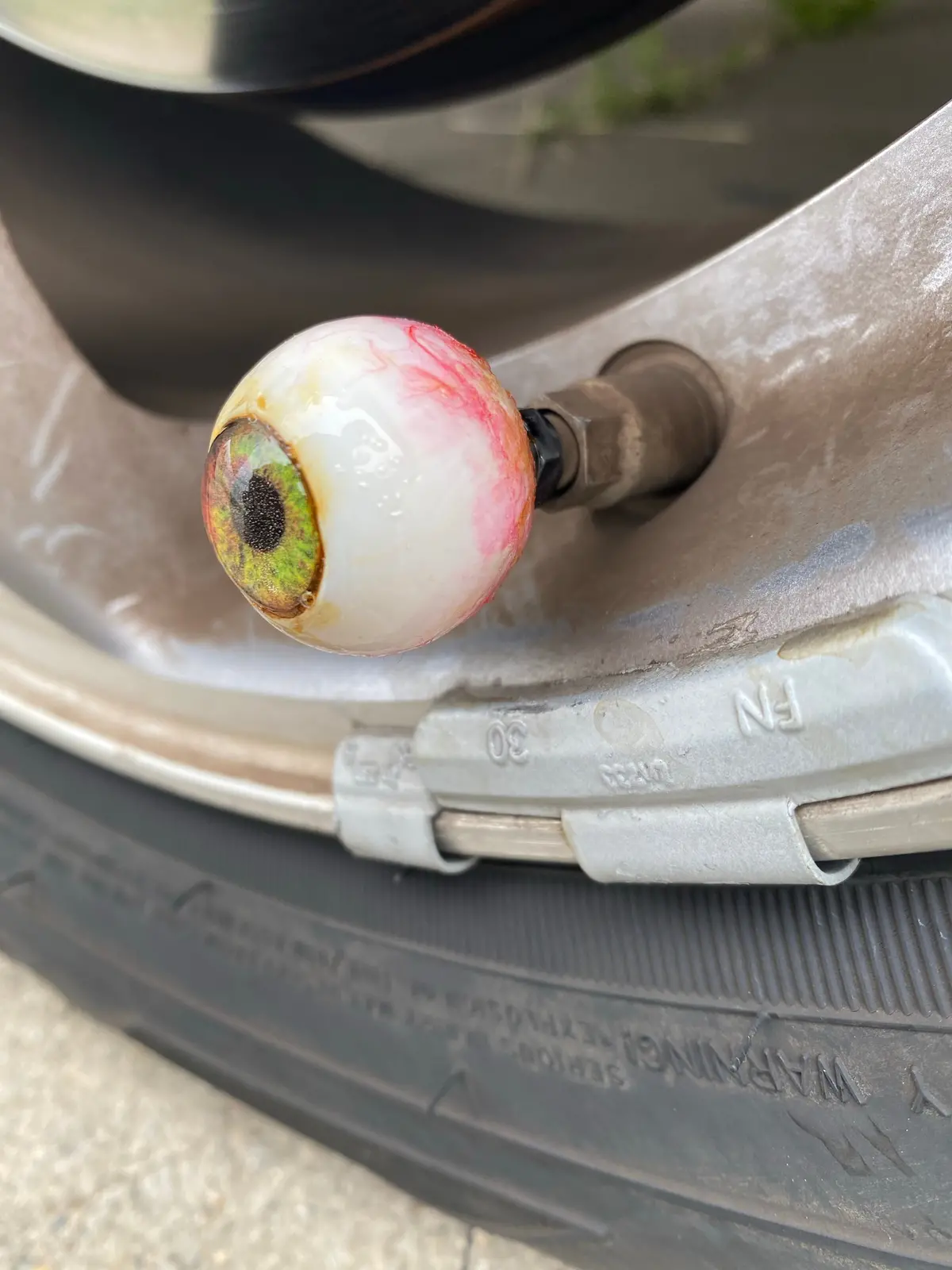 Moldy Tire Valve Caps 1