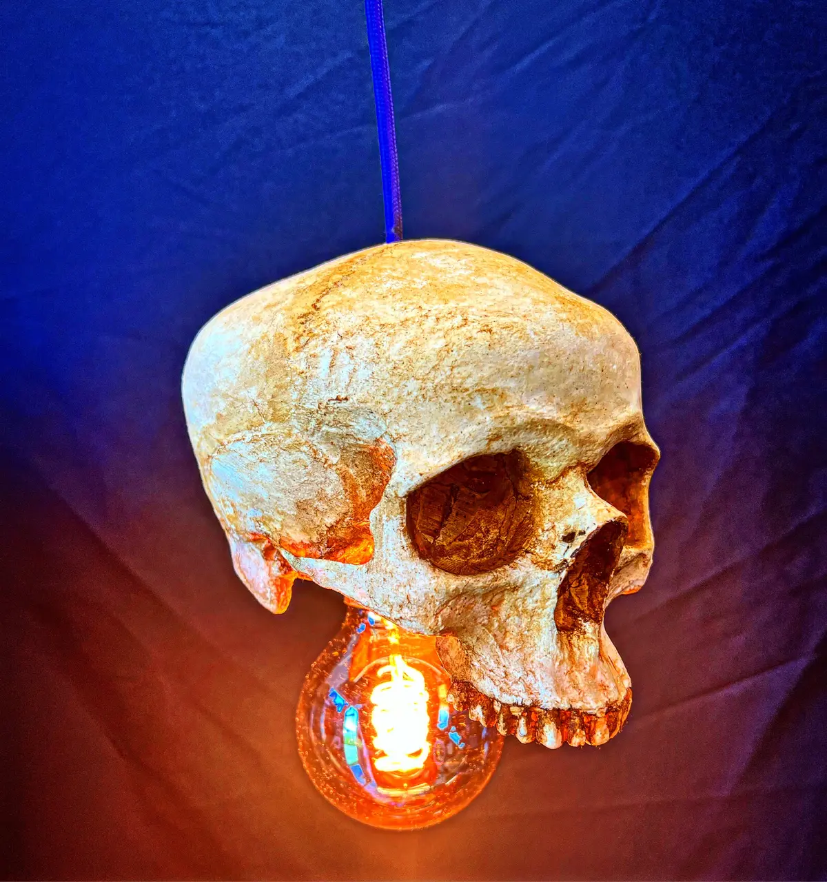 Skull Pendant Light 1