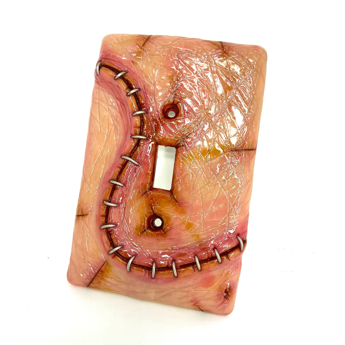Moldy Switch Plate Stapled 1