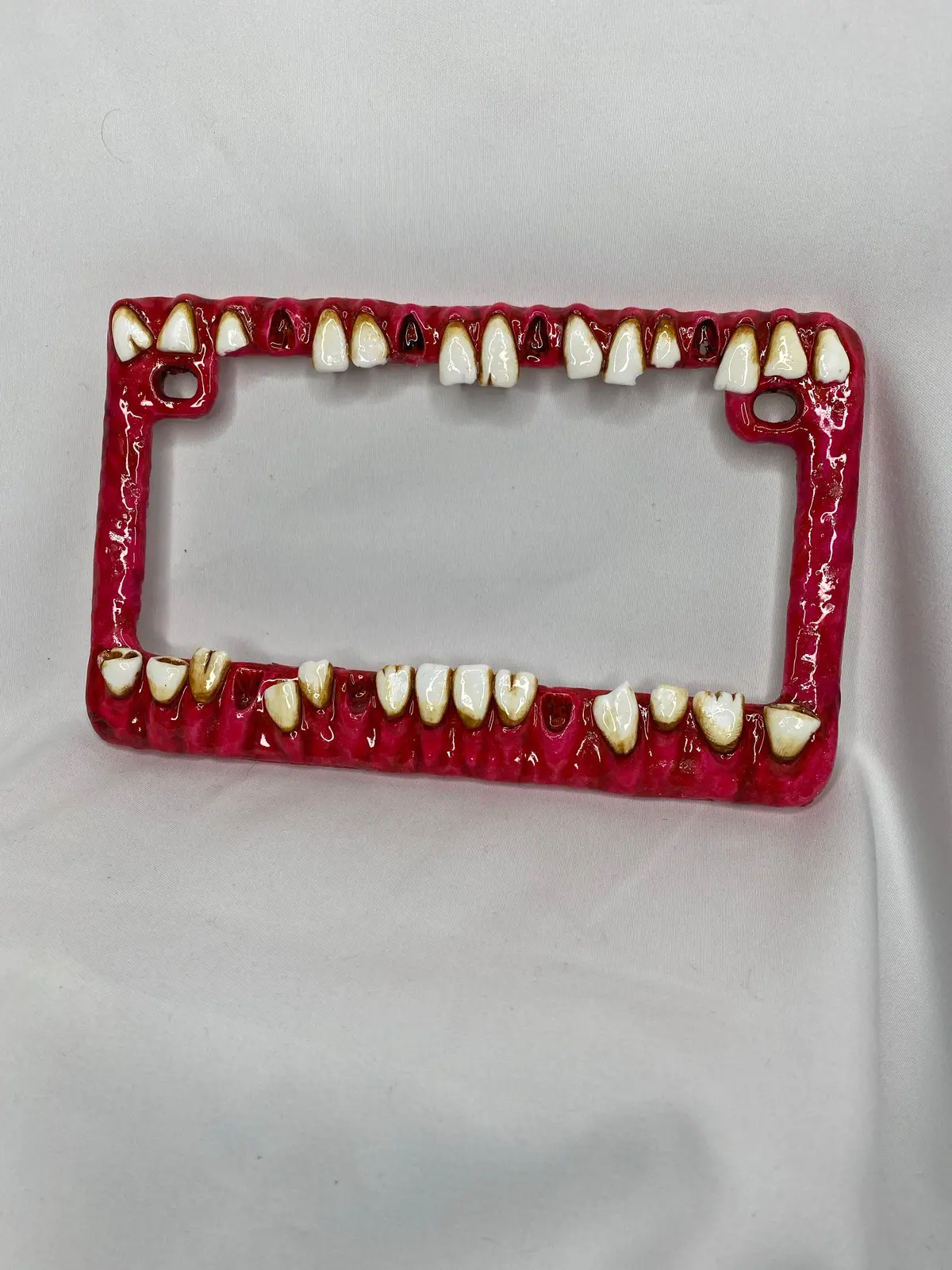 Motorcycle License Plate Frame 1