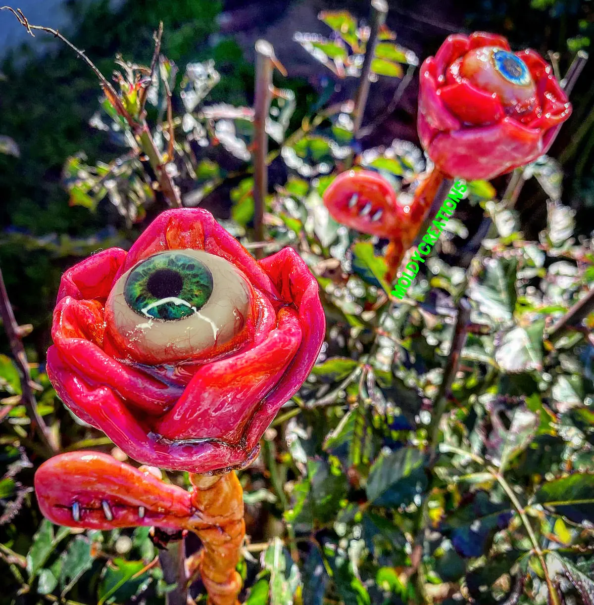Human Flesh Rose 1