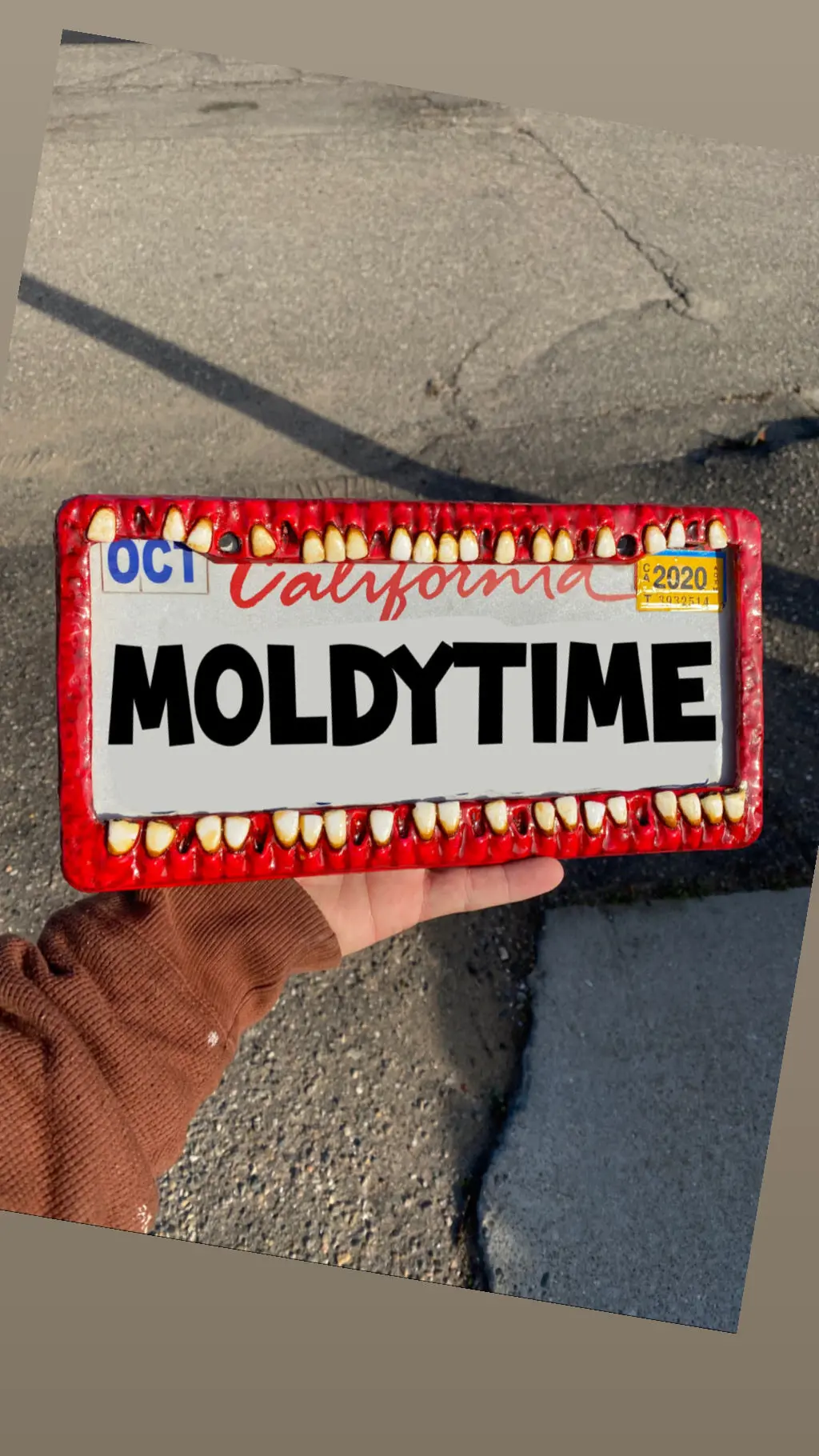 License Plate Frame (Rear) 2