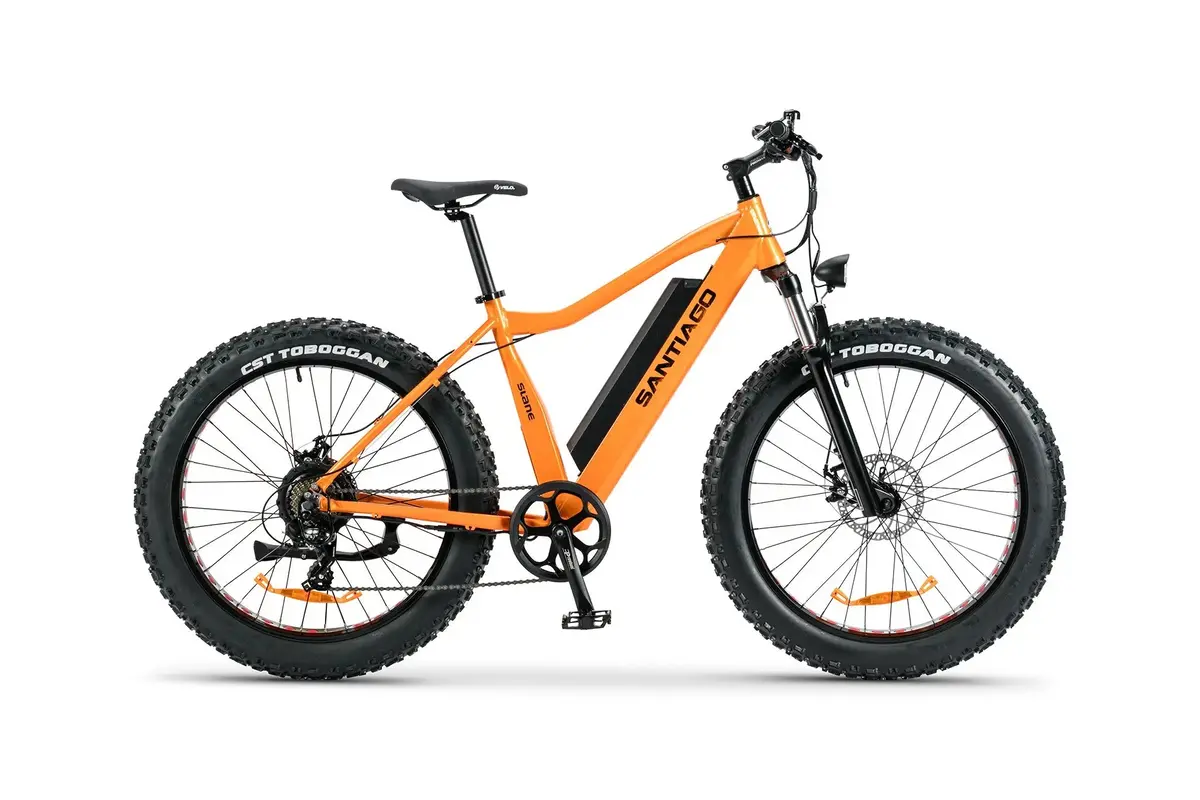 Santiago Fat Ice All Season Fat Tire (Winter/Summer) 2