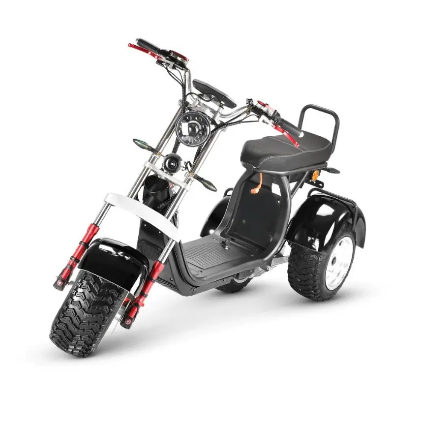 Soversky T7.4 4000W-40Ah Swinging Dual Drive All Terrain Trike 1